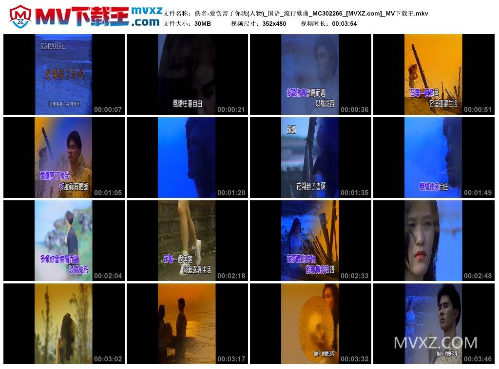 佚名-爱伤害了你我(人物)_国语_流行歌曲_MC302266